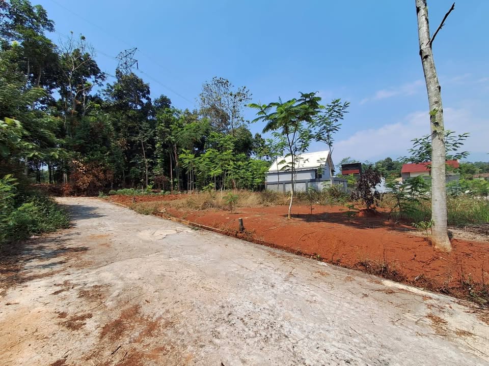 Land for Sale in Cepoko, Gunung Pati, Semarang with SHM Certificate