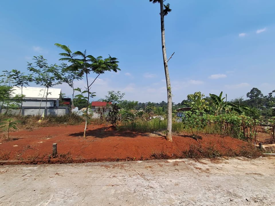 Land for Sale in Cepoko, Gunung Pati, Semarang with SHM Certificate 4