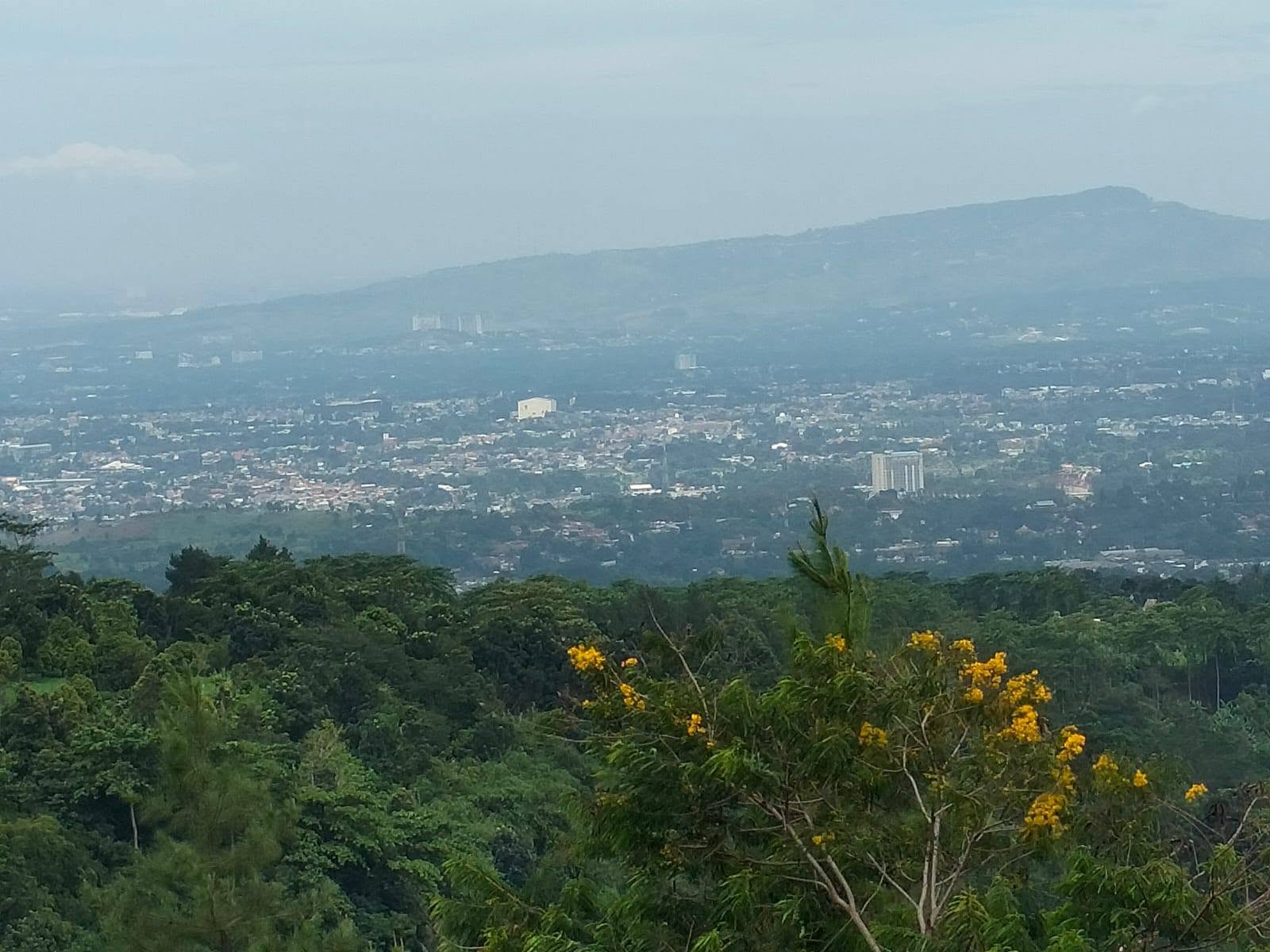Spacious 4-Bedroom Villa with Private Pool in Cijeruk, Bogor 4