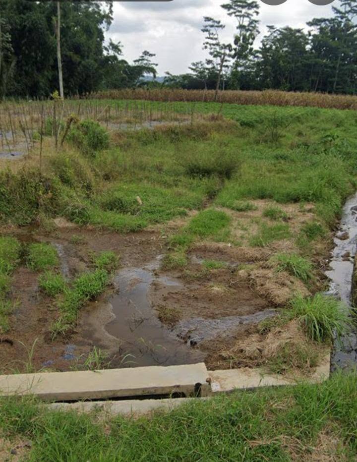 Land for Sale in Tabet, Limbangan, Kendal with SHM Certificate