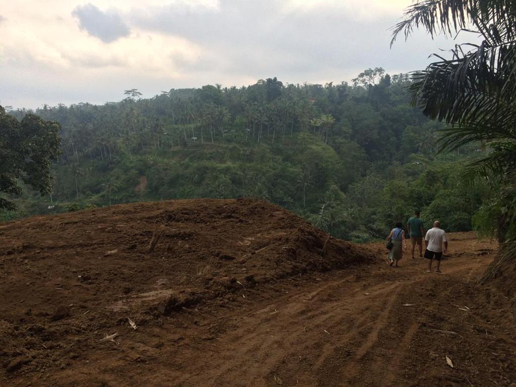 Land for sale Sebatu Tegalallang 3