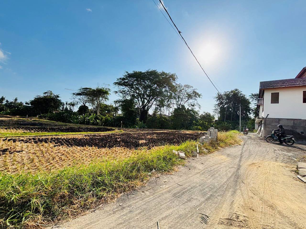 Leasehold Land at Seseh Beach, Cemagi, Badung Bali - 6 Are 3