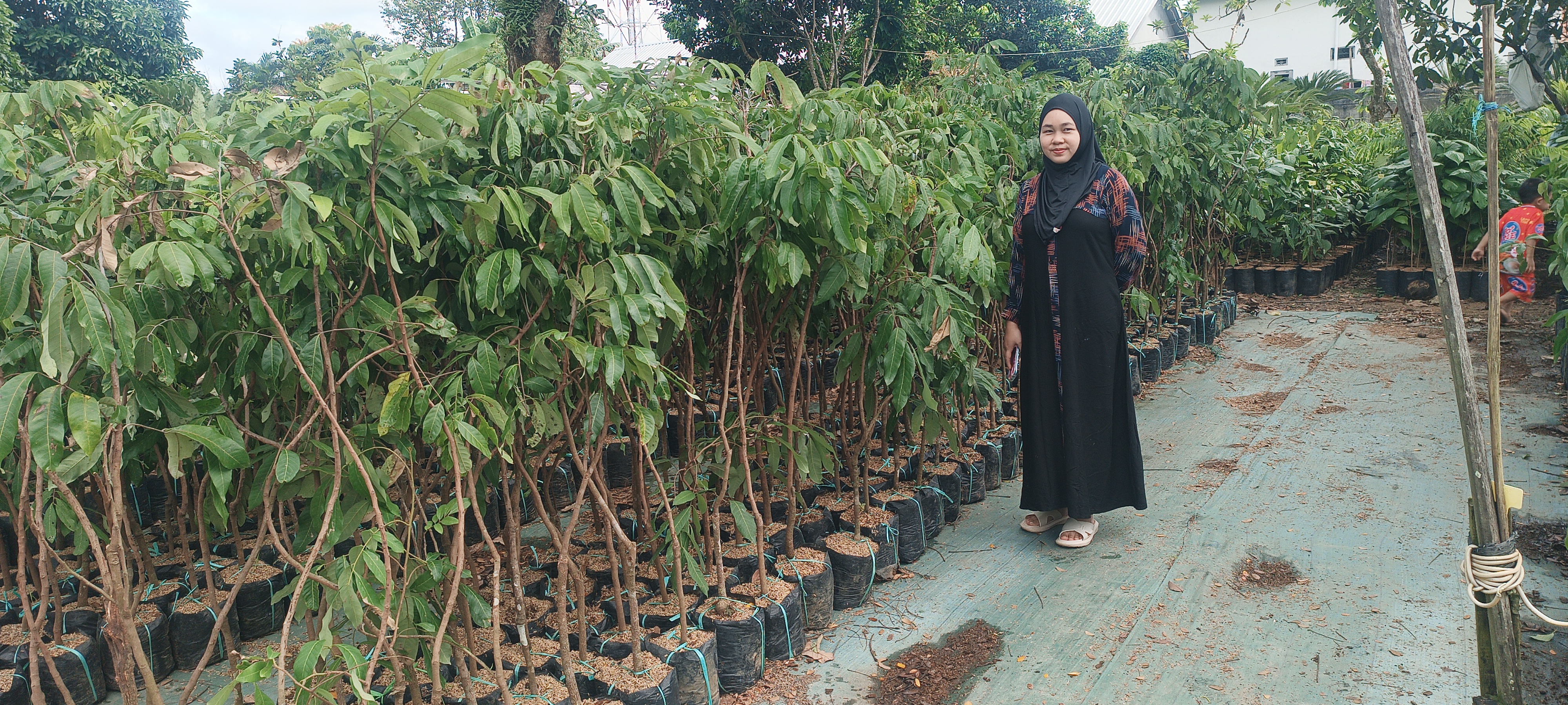 200 sqm Freehold Land for Sale in Desa Sungai Pinang, Tanah Laut 3
