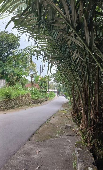 Jual Tanah SHM Hook di Pakem Sleman Dekat Fasum untuk Hunian