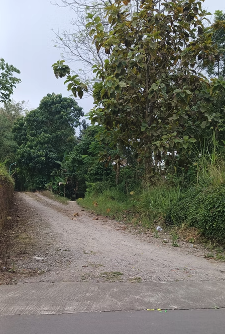 Jual Tanah SHM Hook di Pakem Sleman Dekat Fasum untuk Hunian 2