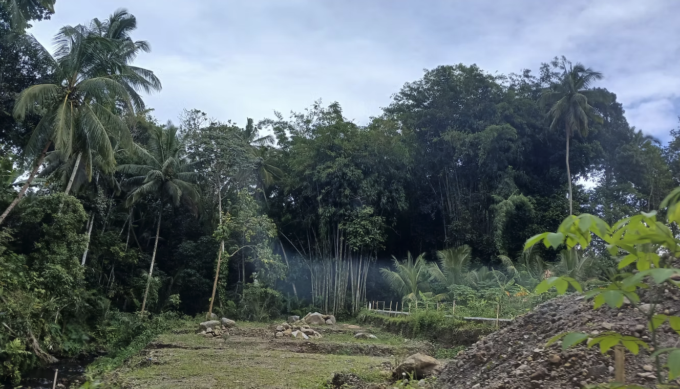 Tanah SHM 1.619 m² di Girikerto, Turi, Sleman, DI Yogyakarta, Pinggir Jalan View Sungai 2