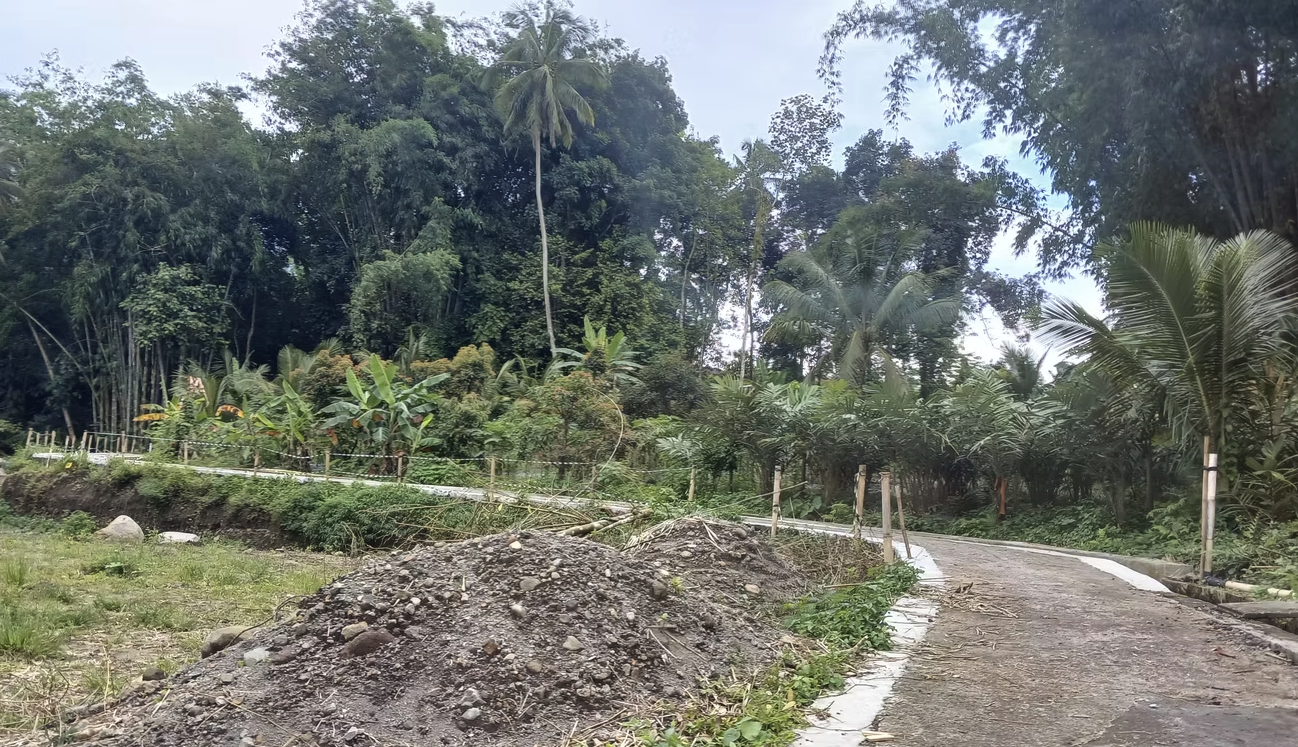 Tanah SHM 1.619 m² di Girikerto, Turi, Sleman, DI Yogyakarta, Pinggir Jalan View Sungai 3