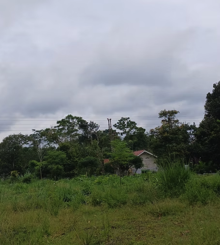 Jual Tanah SHM 5.947 m² di Kaliurang Hargobinangun, Cocok untuk Cafe, Resto, Villa 5