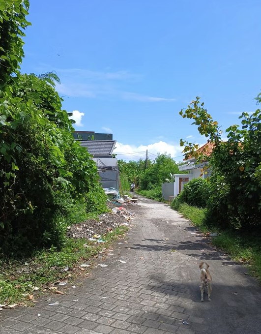 Jual Tanah SHM di Kediri Tabanan, 10 Menit ke Pantai Nyanyi