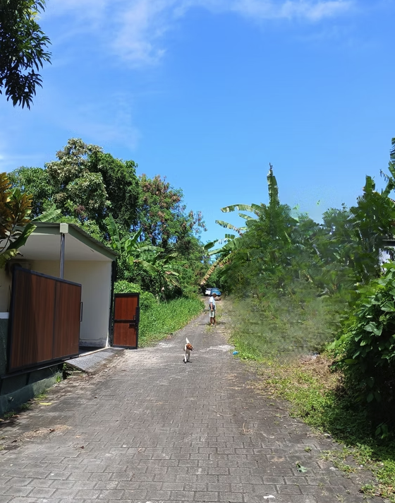 Jual Tanah SHM di Kediri Tabanan, 10 Menit ke Pantai Nyanyi 3