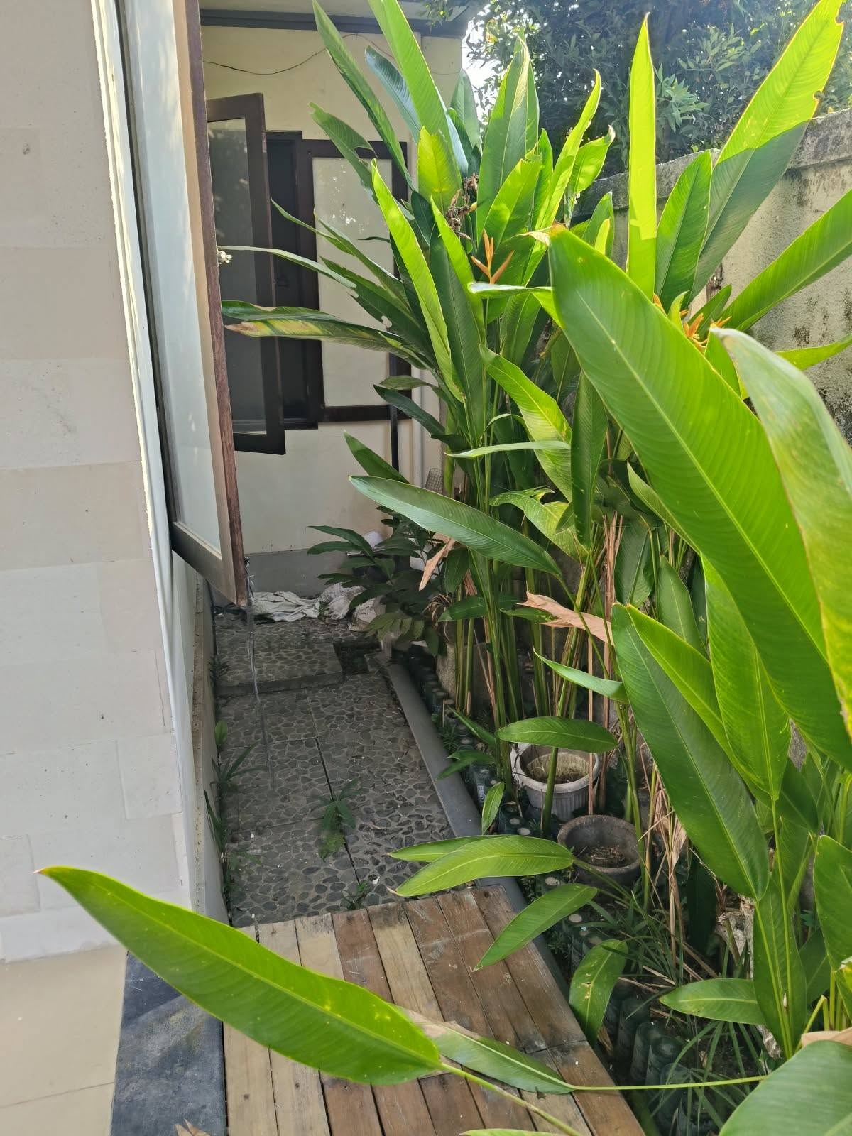 Fully Furnished 2-Bedroom Villa for Yearly Rent in Sanur, Denpasar 4