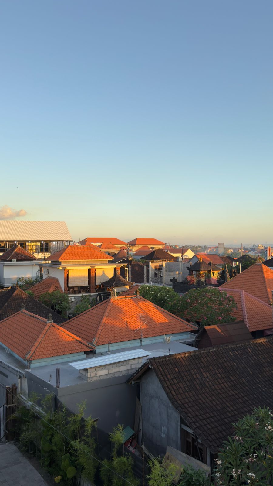 Fully Furnished 1-Bedroom Apartment for Rent in Canggu, Bali 4